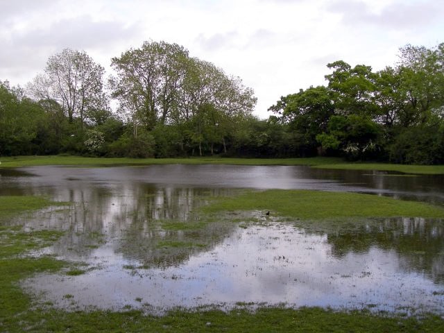CC-flooded lawn
