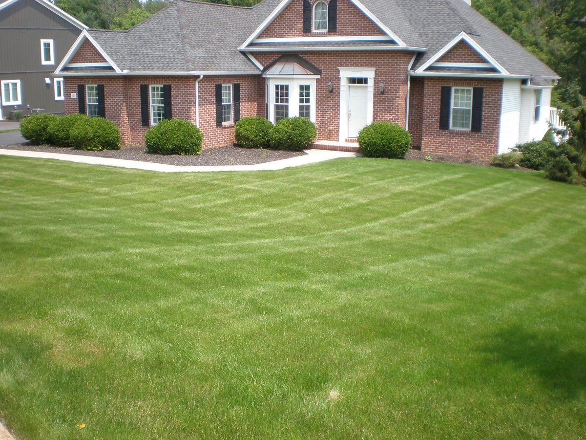 neatly mowed grass