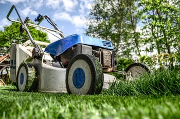 lawn mower cutting fertilized grass