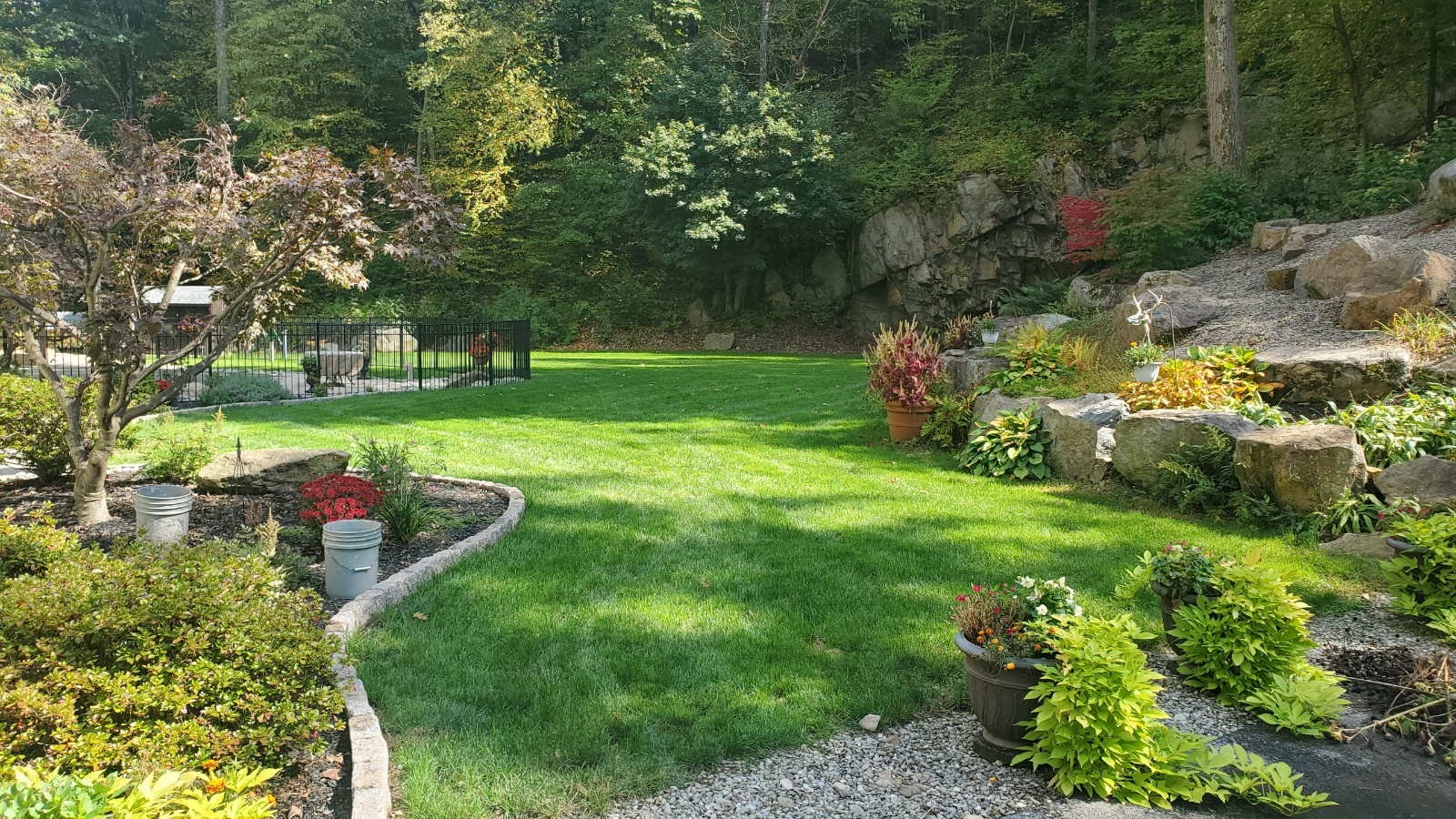 Emmaus, PA after photo of lawn