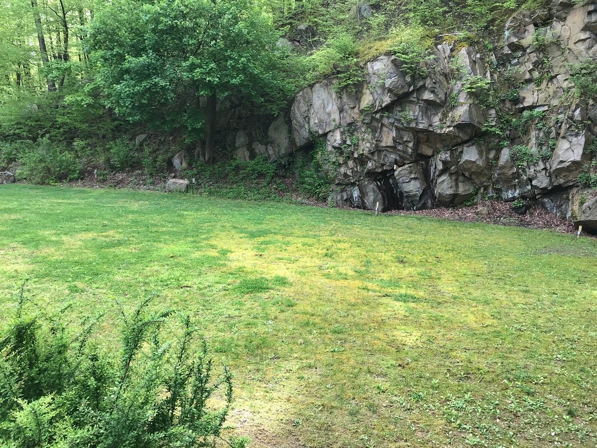 Emmaus, PA before picture of lawn