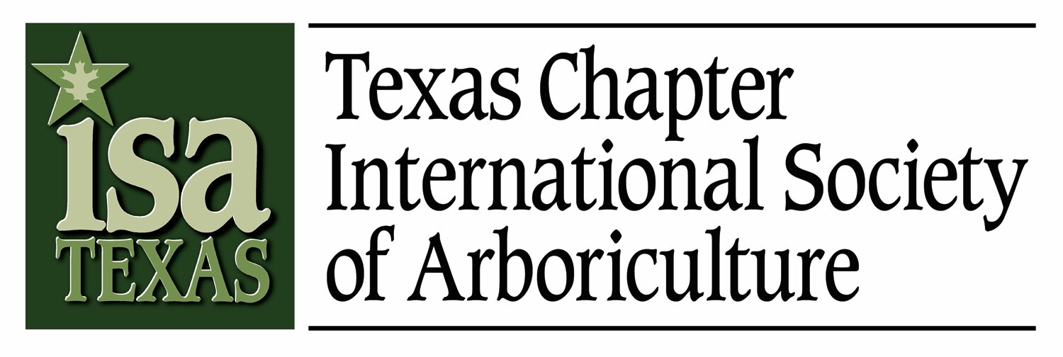 ISA Logo Full Version300