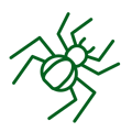 Common Pests - Green