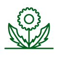 Common Weed Species - Green