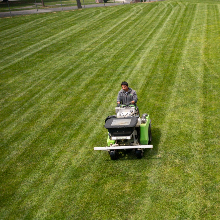 Commercial lawn care technician spreader baseball field 4