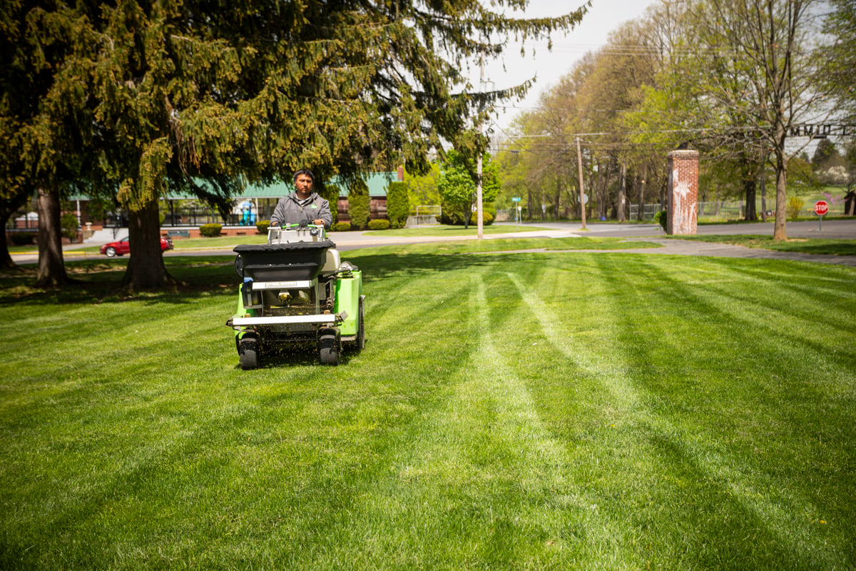 lawn care expert fertilizes grass