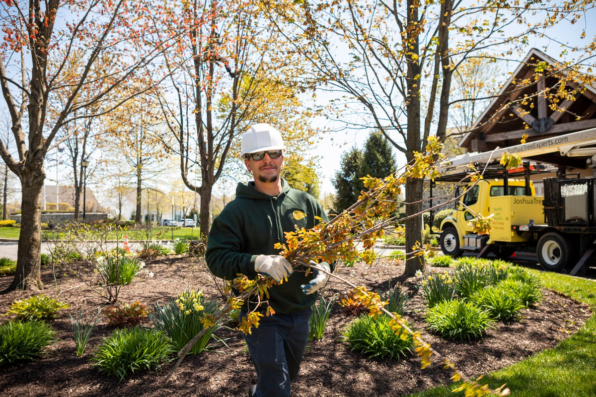 spring lawn cleanup