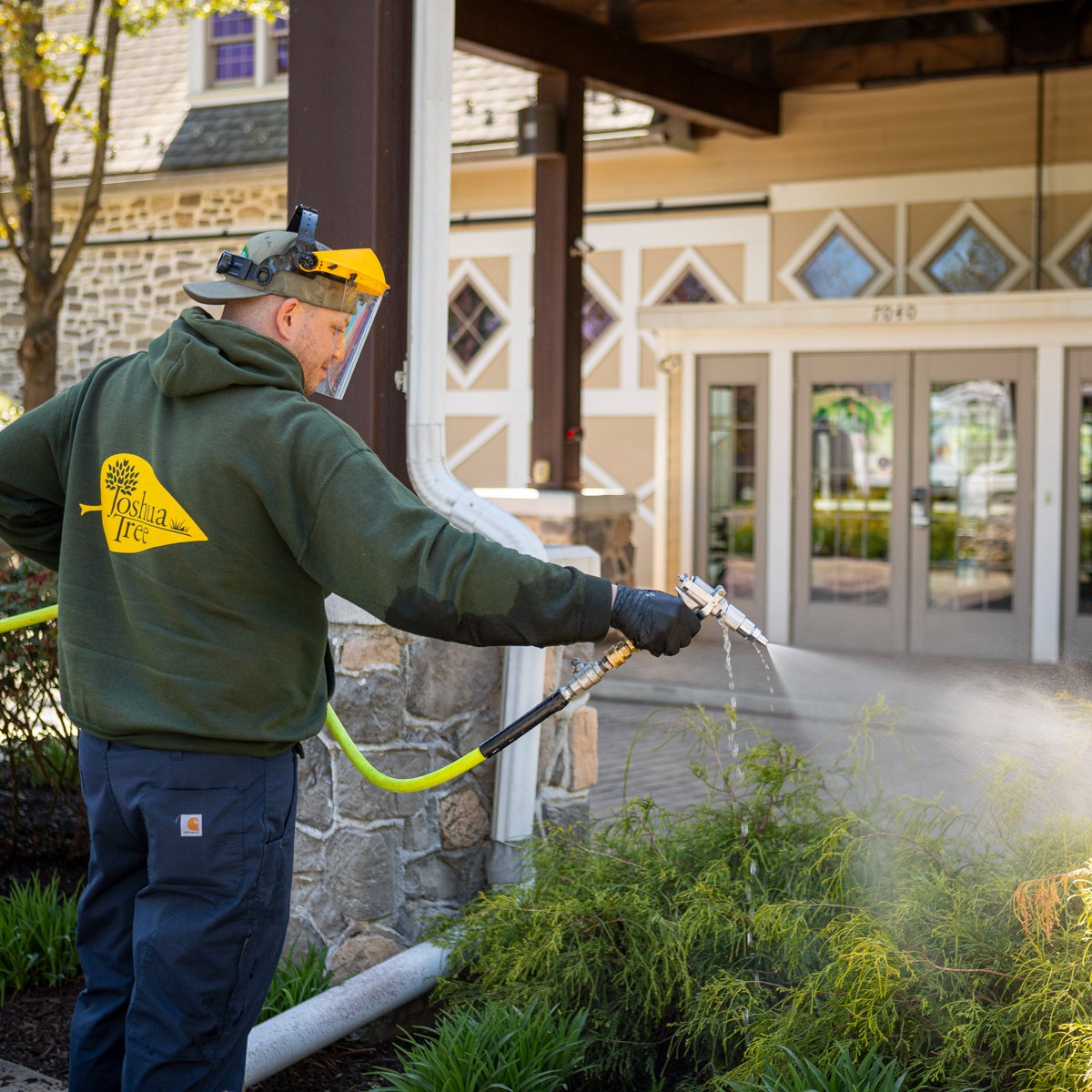 Plant health care technician spraying shrubs