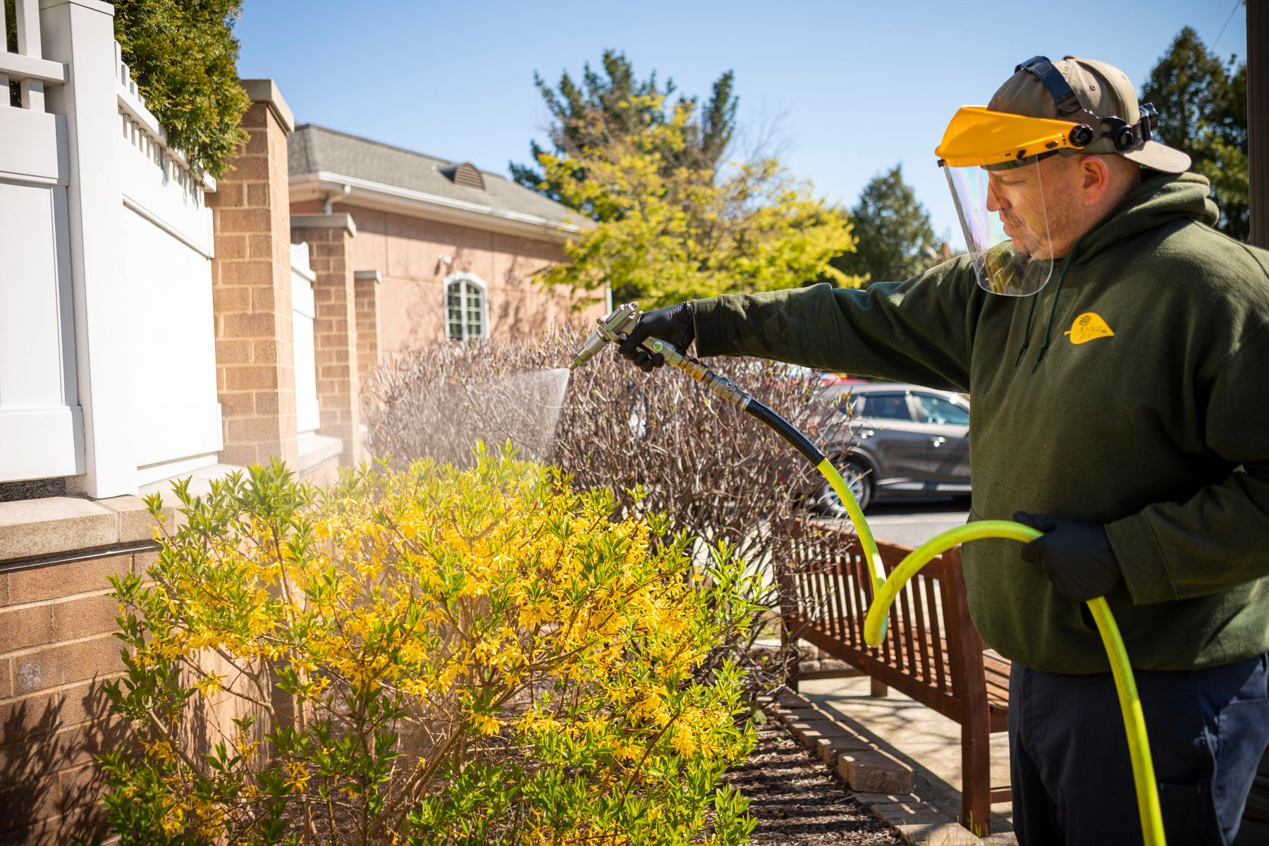 Plant health care technician spraying shrubs