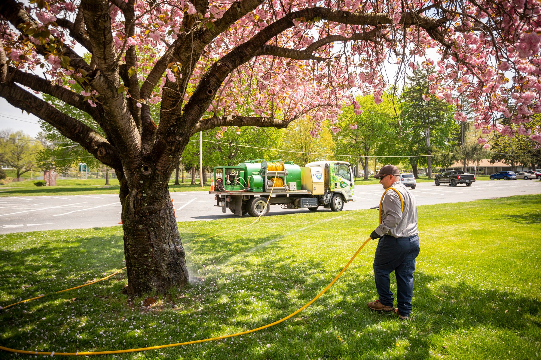plant health care technician spraying tree in turf bed