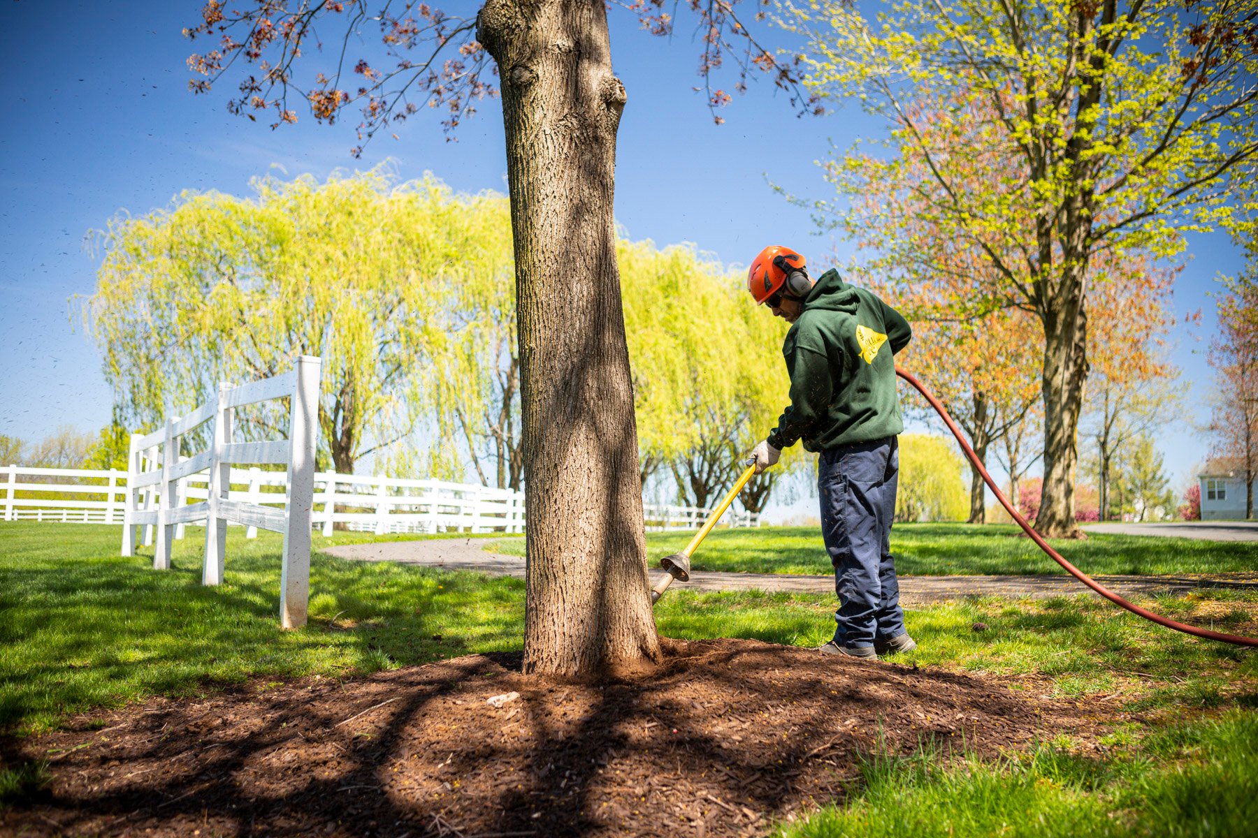 tree care technician performing root collar excavation with air spade