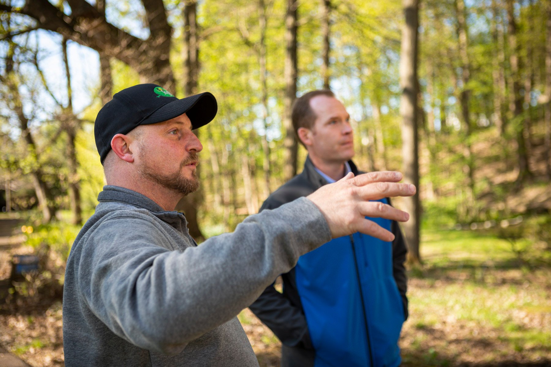 certified arborist and customer inspecting large trees in a wooded area