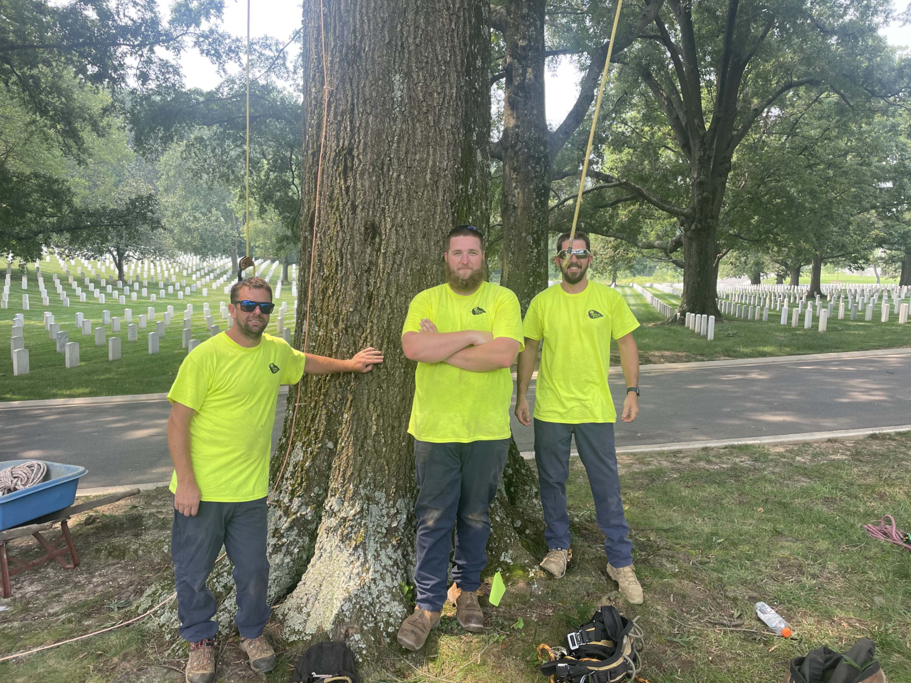 joshua tree experts team members at arlington cemetery renewal and remembrance