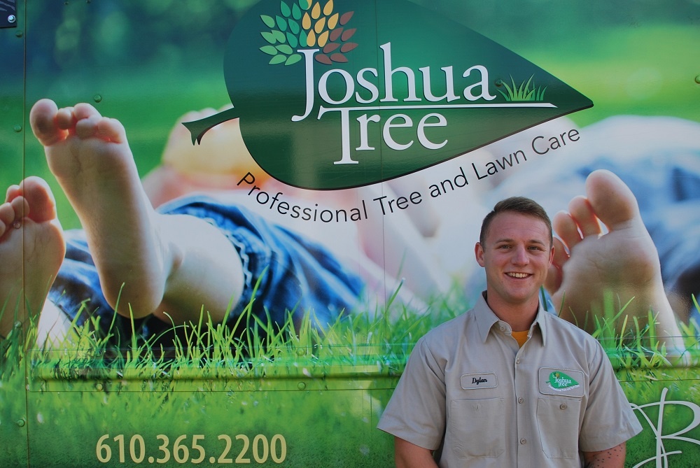 Looking for Tree Service or Lawn Care Jobs? What About a