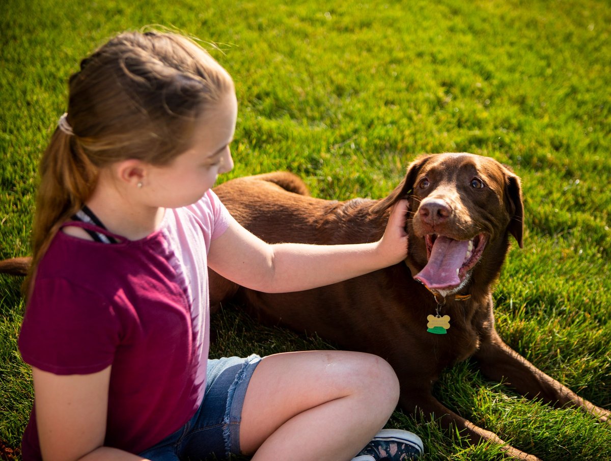 child sits with dog on grass