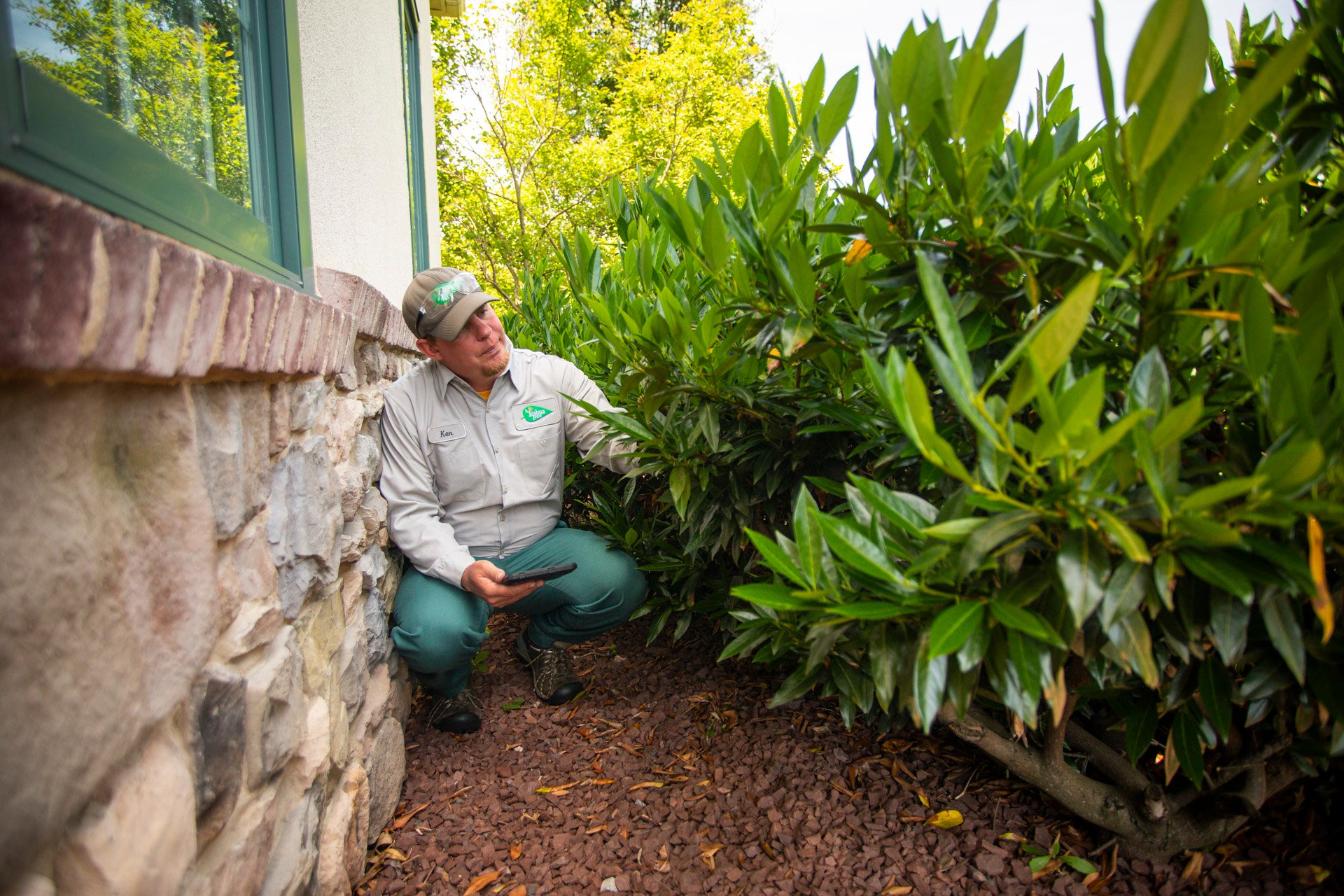 shrub inspection for disease