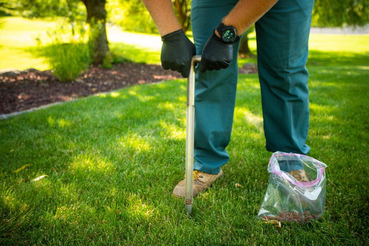 lawn care technician performs lawn soil test