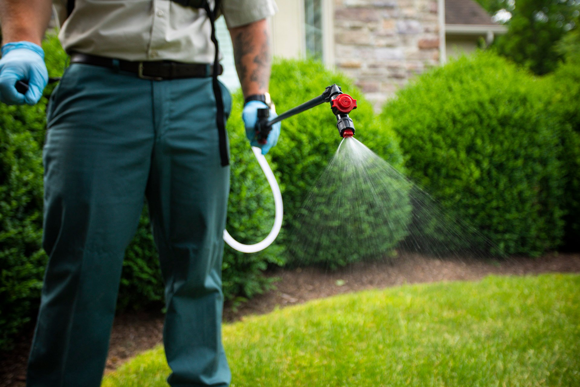 lawn care technician spraying lawn