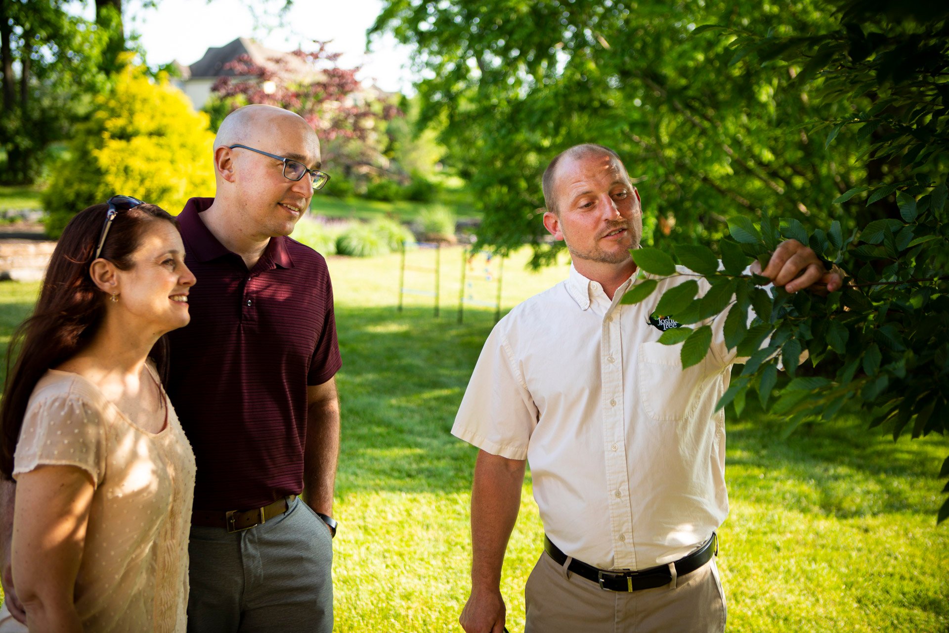 plant health care technician inspecting tree