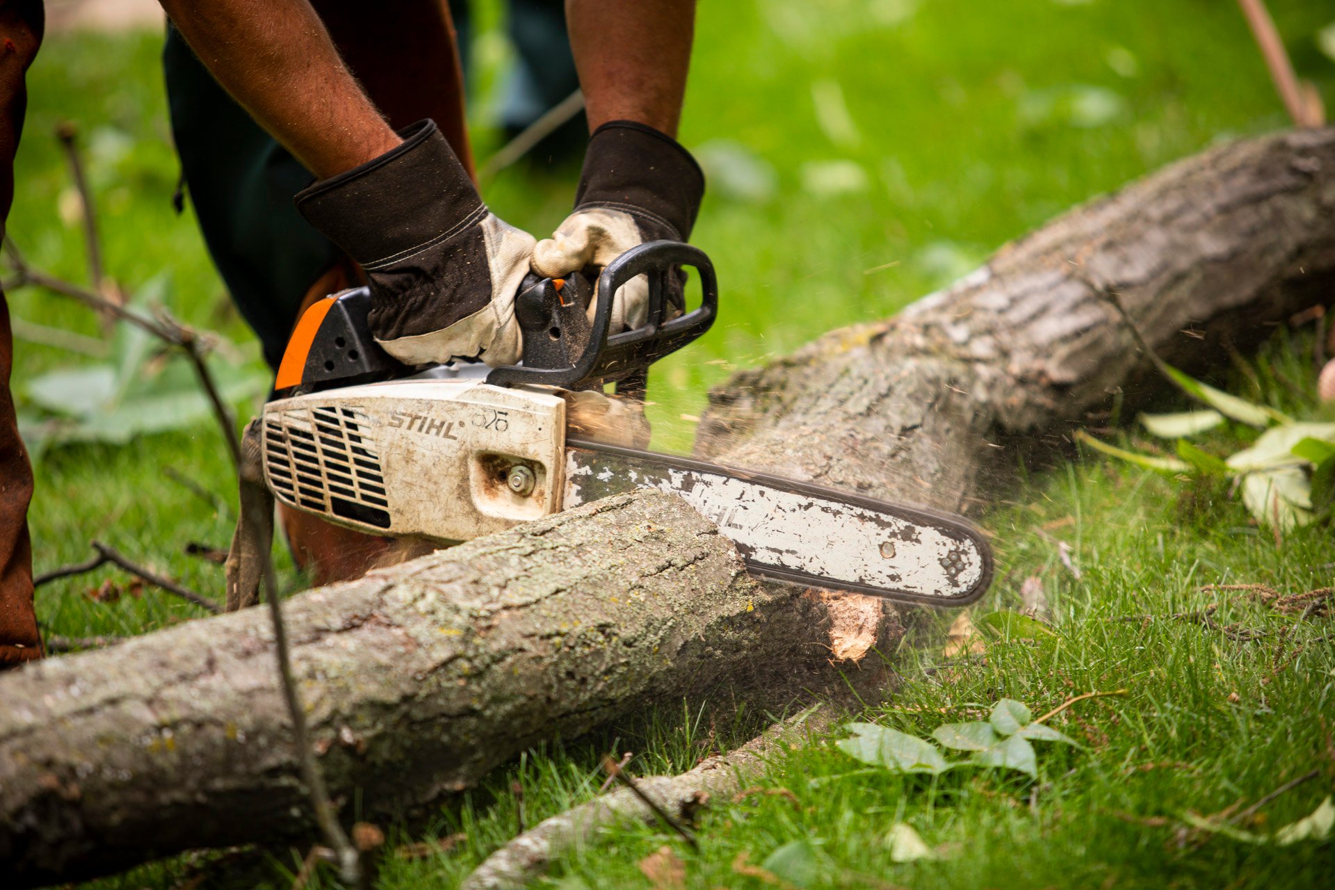 tree removal technician using a chainsaw