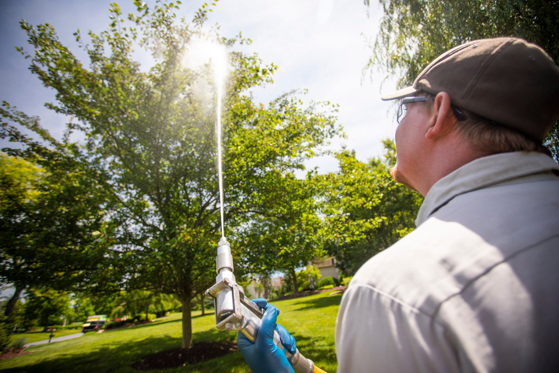 tree-spraying-technician-3 tree-spraying-technician-3