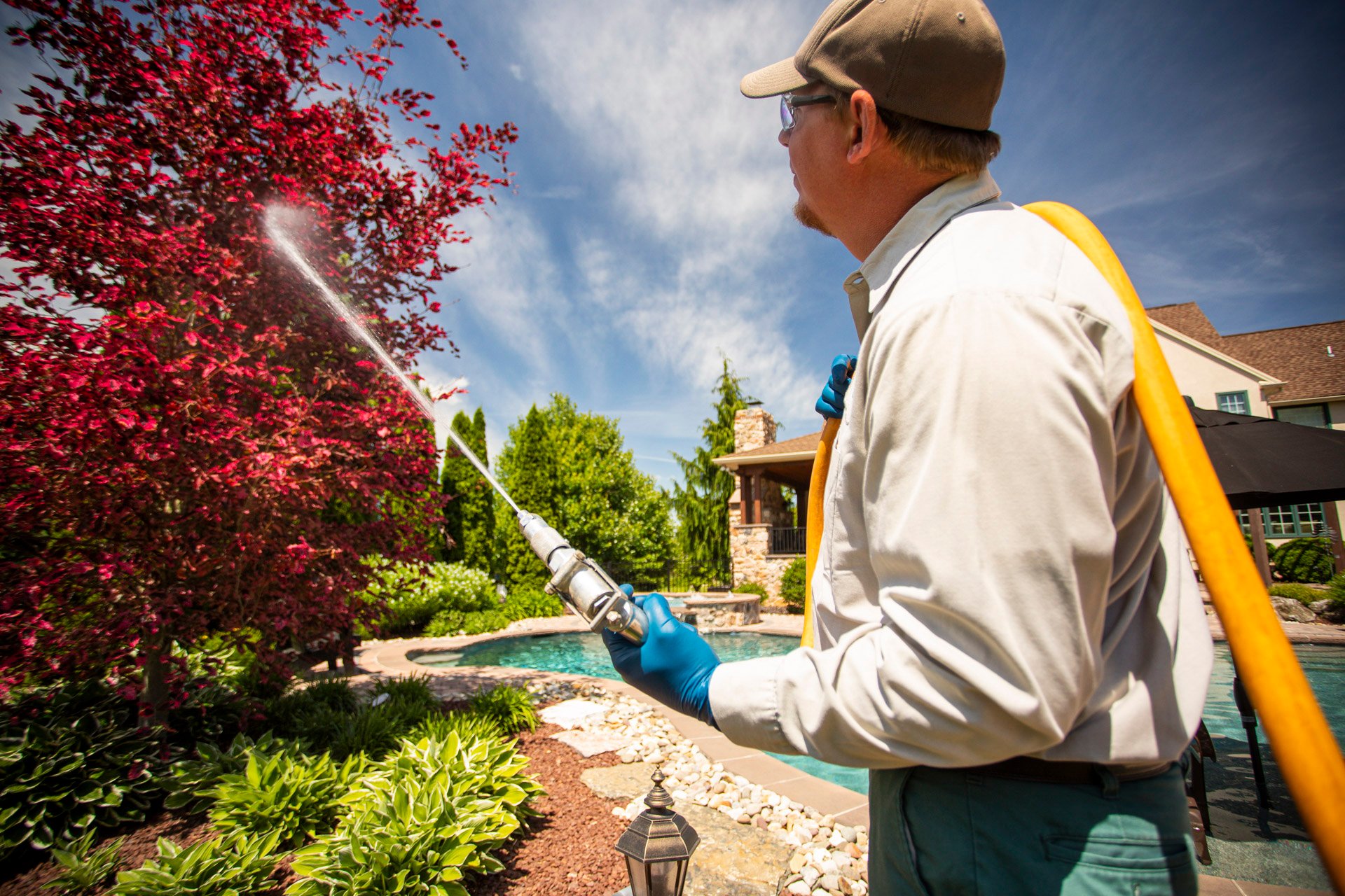 tree-spraying-technician-pool-3 tree-spraying-technician-pool-3