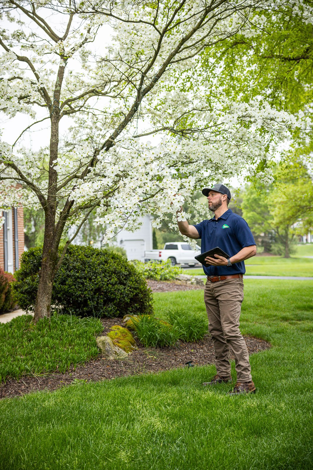 How To Become A Certified Arborist in the United States