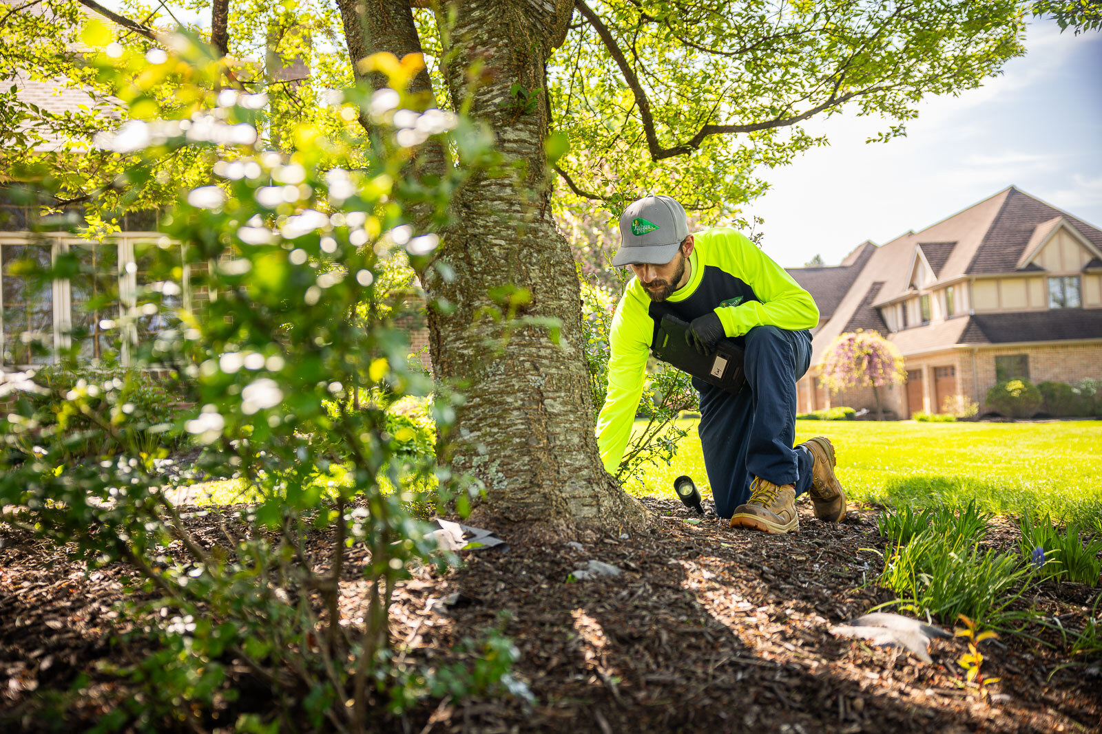 plant health care technician inspecting the trunk of an ornamental tree plant health care technician inspecting the trunk of an ornamental tree