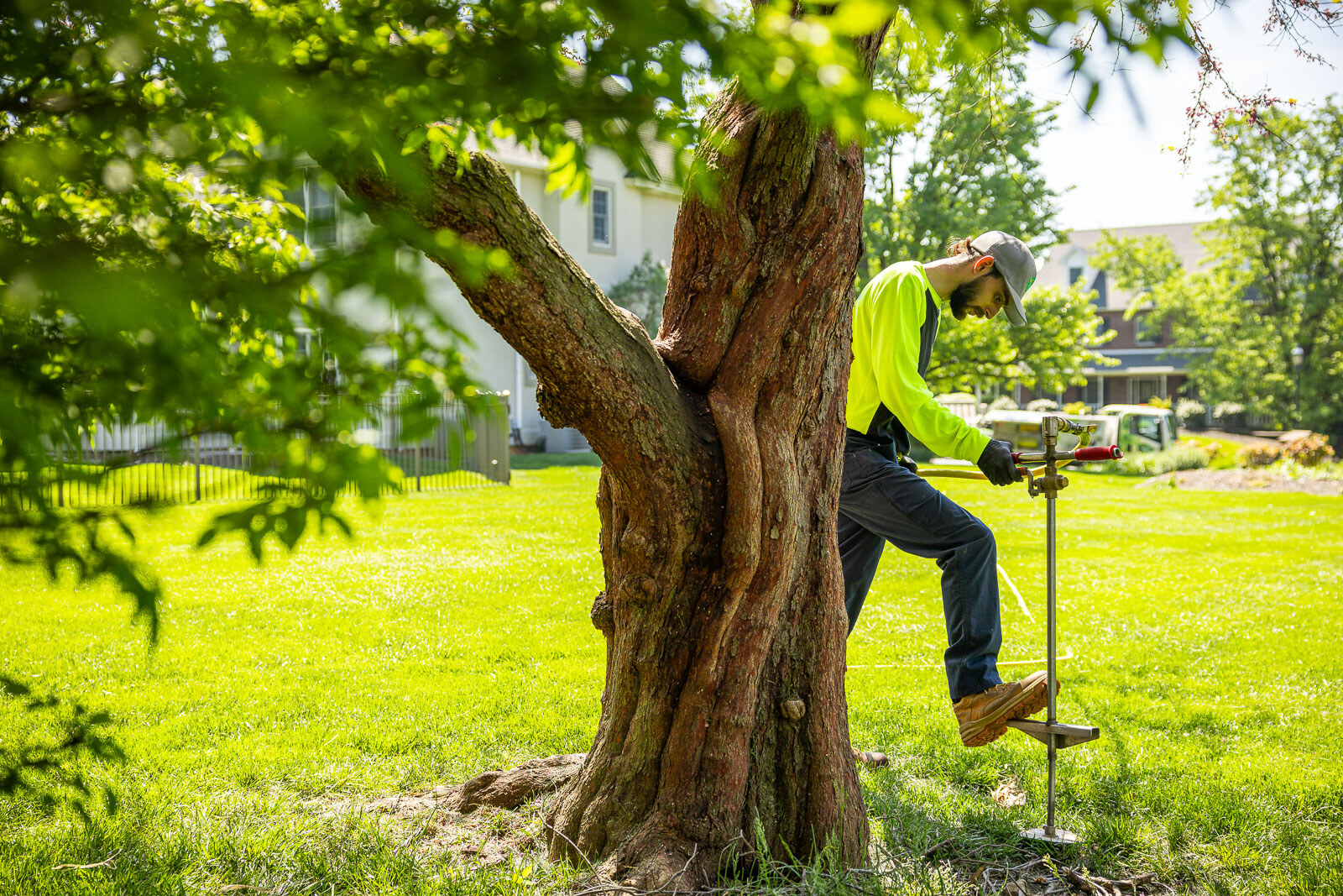 plant health care technician performing deep root fertilization on a large tree 13 plant health care technician performing deep root fertilization on a large tree 13