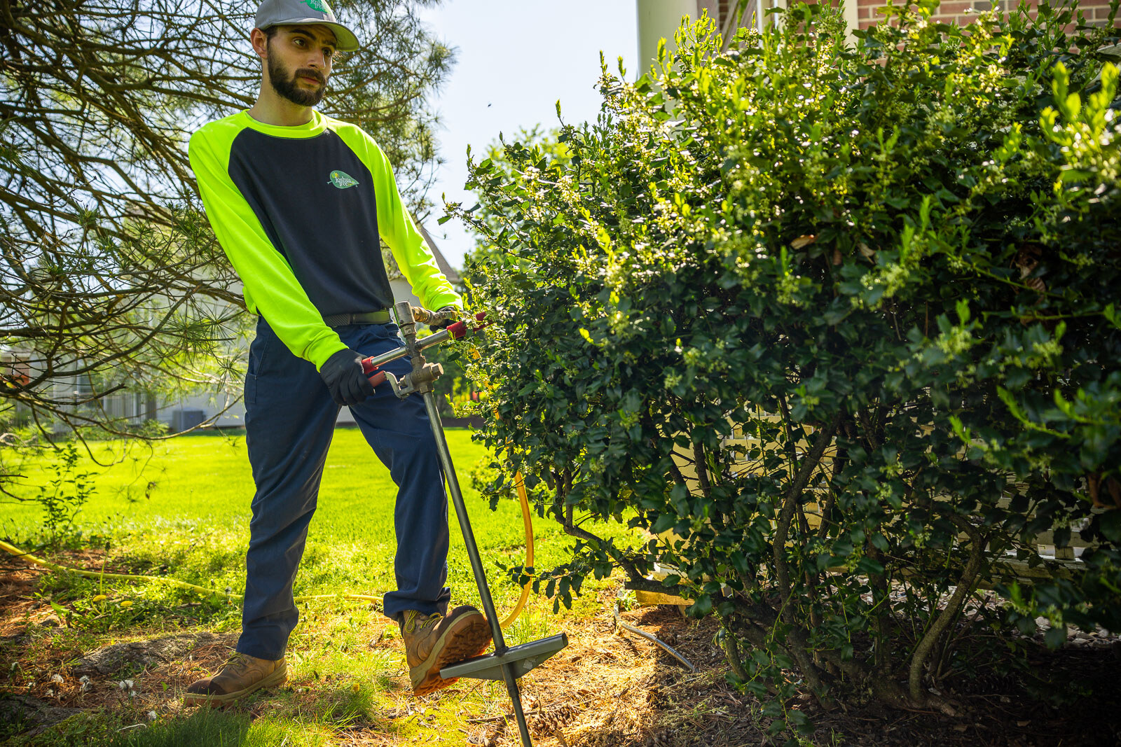 plant health care tehcnician performing deep root fertilization on large foundation shrubs 3 plant health care tehcnician performing deep root fertilization on large foundation shrubs 3