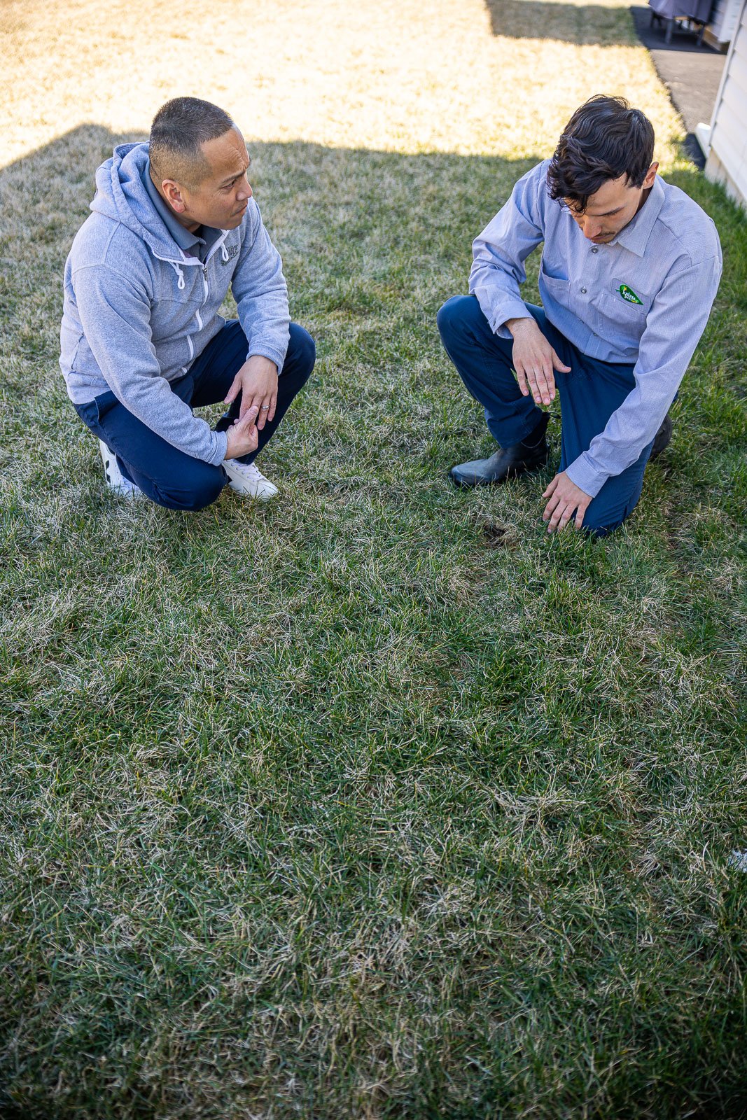 homeowner inspects grass with expert