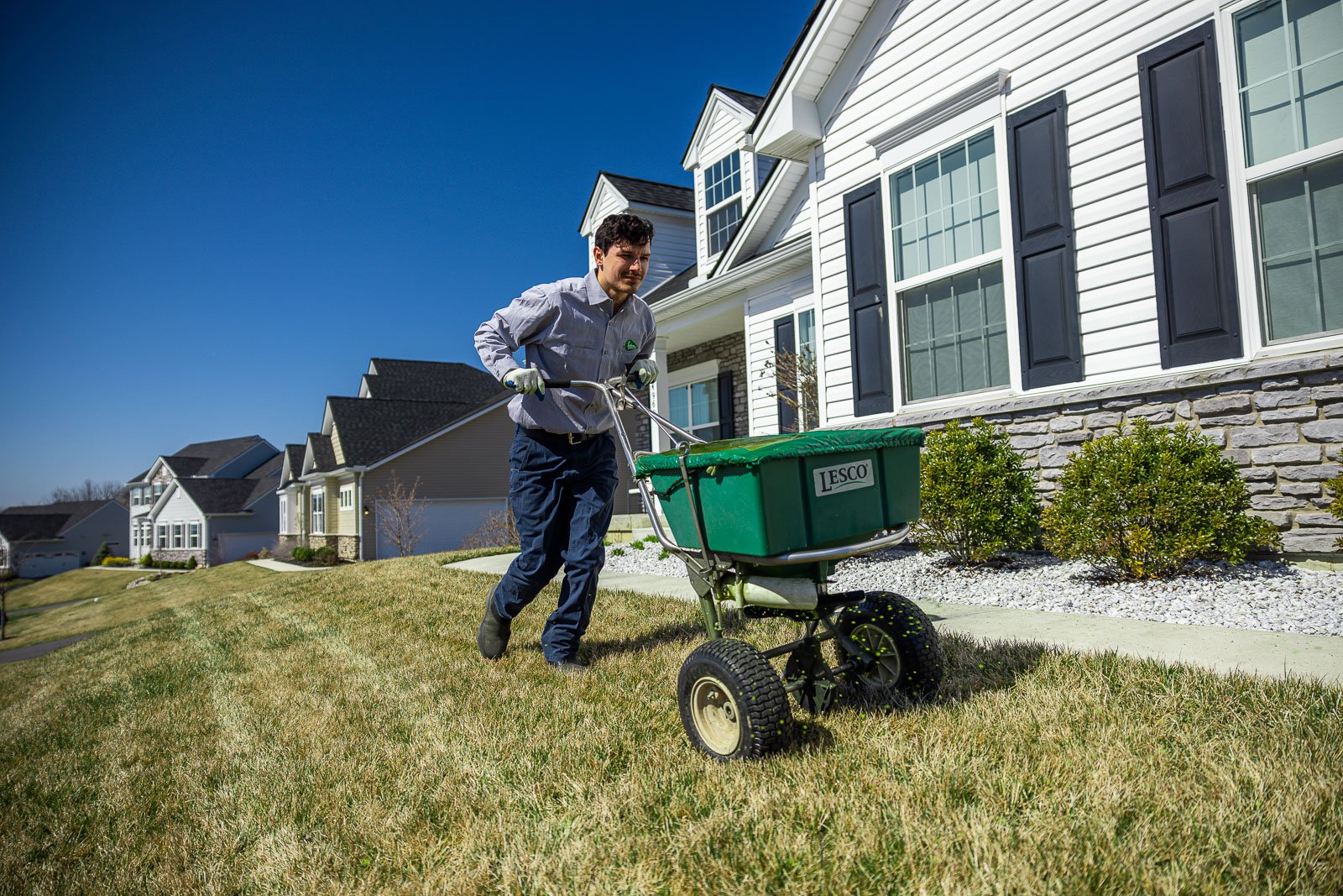 lawn care technician applying granular fertilizer to dormant lawn