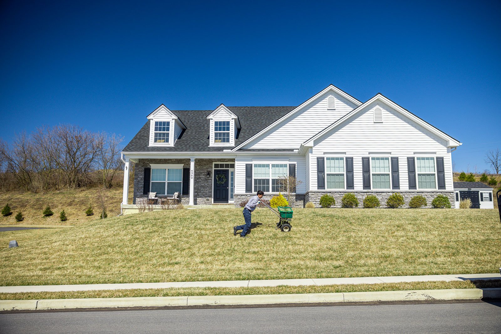 lawn care technician spreading granular turf fertilizer on a dormant lawn in early spring