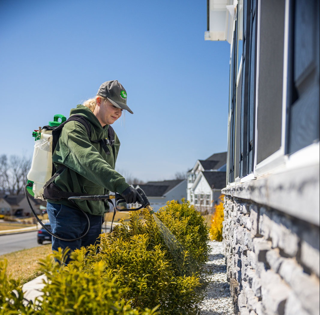 pest control technician exterior spray 7 pest control technician exterior spray 7