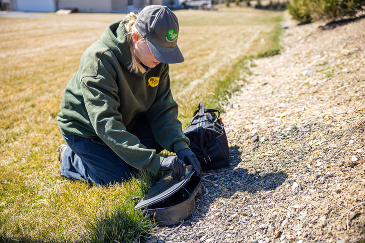 pest control technician placing rodent exclusion wire in a planting bed