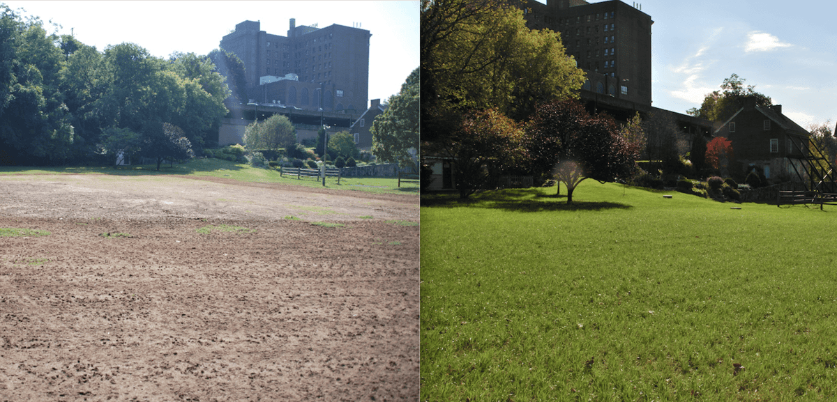 lawn area before and after aeration