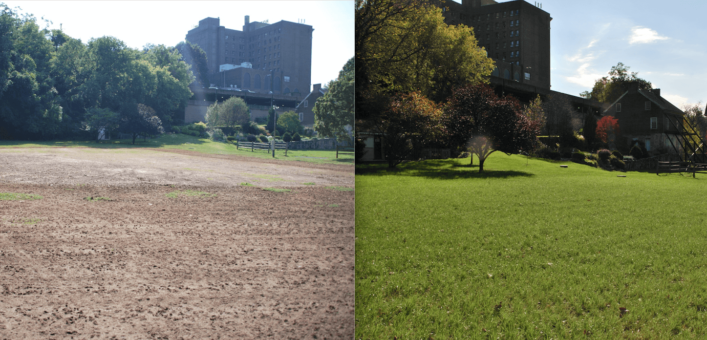 Aeration and overseeding before and after photo