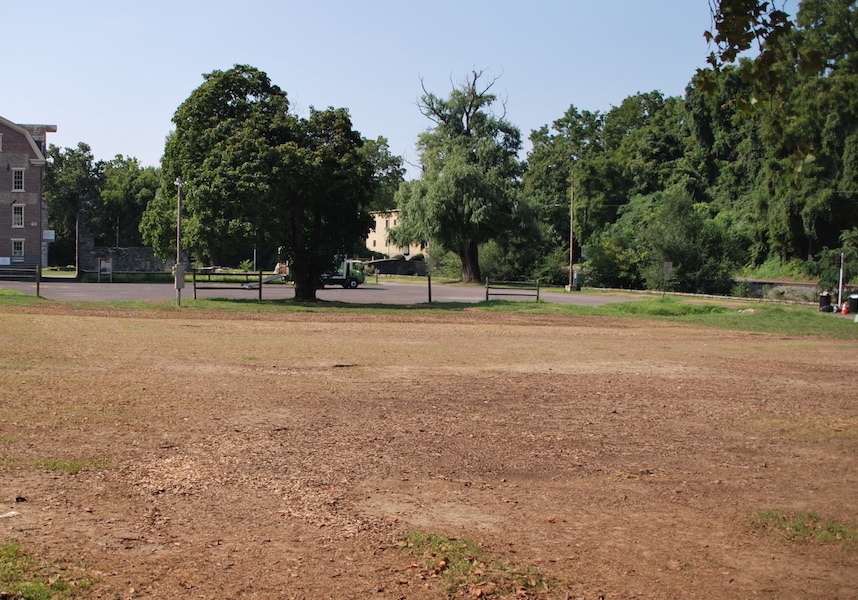 Ugly lawn that needs renovation