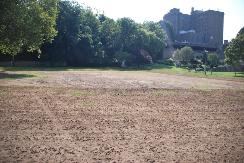 ugly lawn before aeration and oversseding