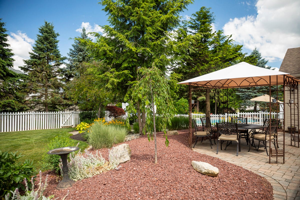 clean landscape with plants and patio