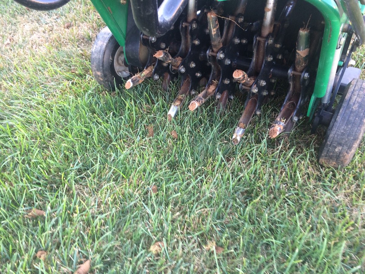 aeration machine aerates lawn