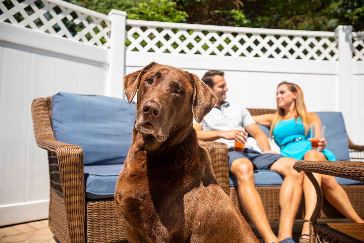 lawn care customers with a dog in their backyard