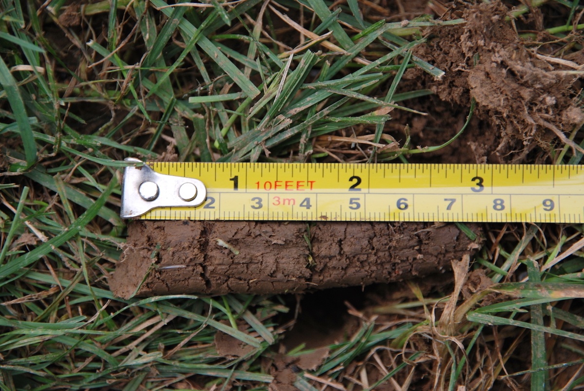 good-lawn-aeration-plug