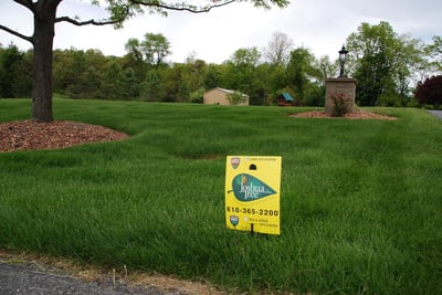 beautiful lawn cared for by Joshua Tree in PA