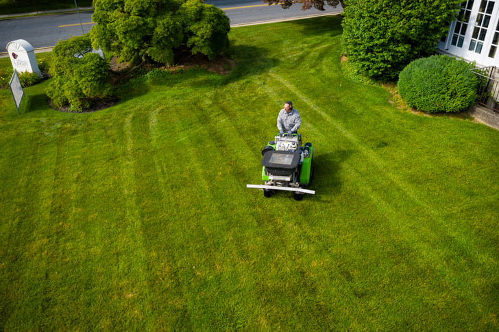 Joshua Tree lawn care technician