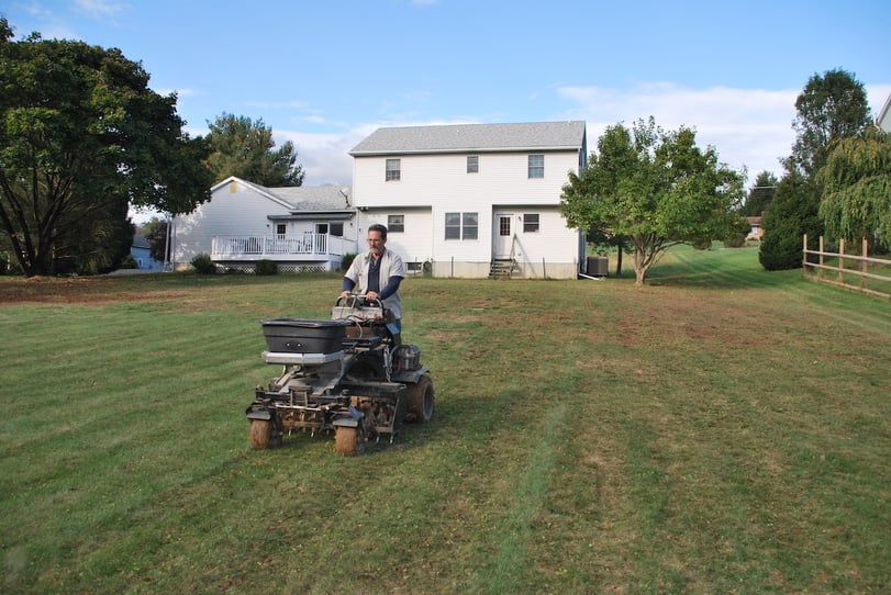 lawn aeration and overseeding example