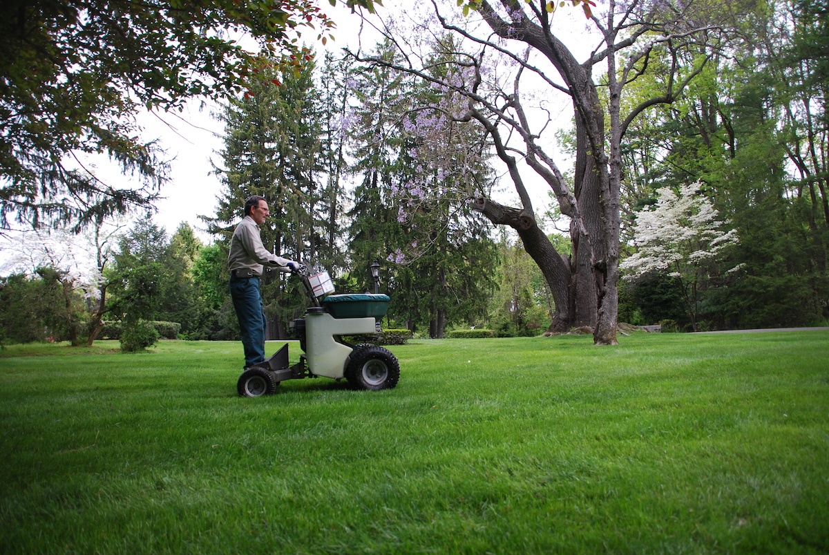 lawn technician applying fertilizer to lawn
