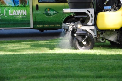 Summer lawn weed application