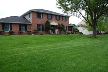 DIY Lawn Care vs. Using a Pro: Costs, Considerations, and Results