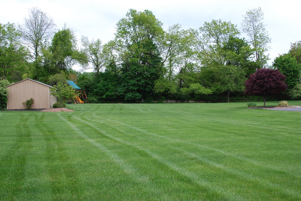 Freshly mowed lawn in Pennsylvania